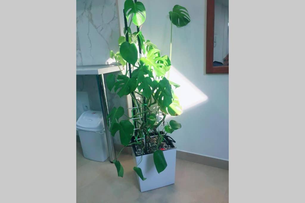 Apartman Santorini Novi Sad Buitenkant foto